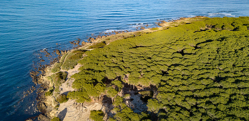 Spiaggia di Budoni